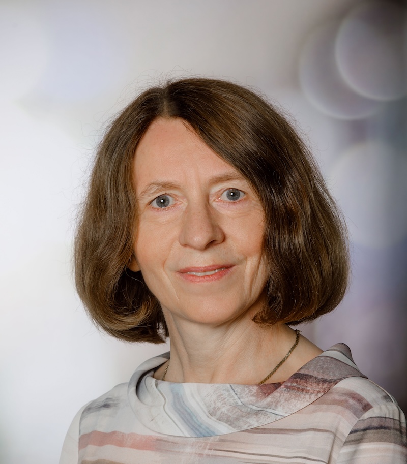 Prof. dr. Kerstin Witte